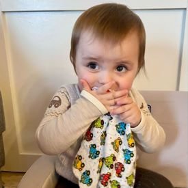 Næseklude og Ammeklude