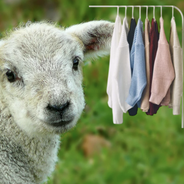 BRUGT uldtøj til børn