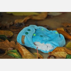 Puppi - Formsyet bambusble med en lomme, Rivera Coast 