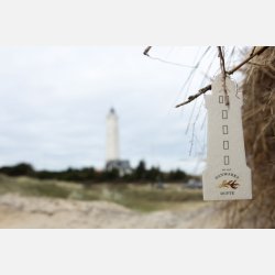 Danmarks Dufte - Air Freshener  Blvand Fyr