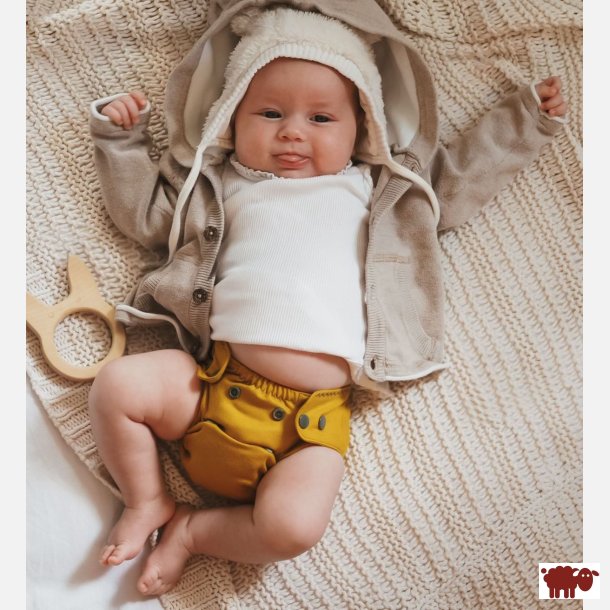 Puppi - Cover til genanvendelige stofbleer i bld merinould Carry