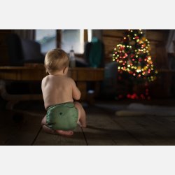 Puppi - Cover til genanvendelige stofbleer i bld merinould Green Herringbone