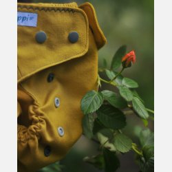 Puppi - Cover til genanvendelige stofbleer i bld merinould Carry