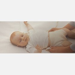 Disana - Bindeble i kologisk ubleget bomuld, 1 stk.