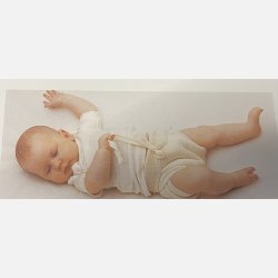 Disana - Bindeble i kologisk ubleget bomuld, 1 stk.