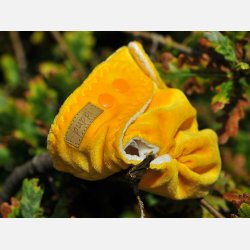 Puppi - Formsyet bambusble med en lomme, Late Fall 