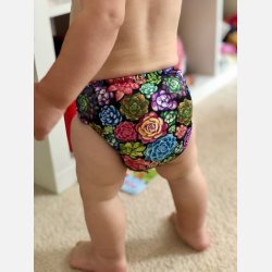 Pupus - AIO- All in One Genanvendelig ble,  bambus &amp; bomuld, Sukkulenter