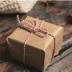 Nature Lovers - Gaveindpakning i pap stor pakke, m.pynt