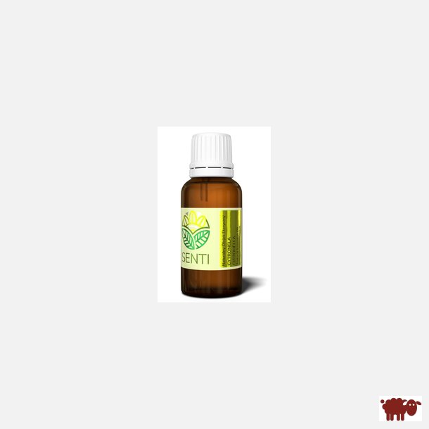 SENTI - 100 % Naturlig  terisk citronelleolie , 30 ml