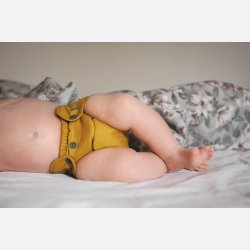 Puppi - Cover til genanvendelige stofbleer i bld merinould Carry