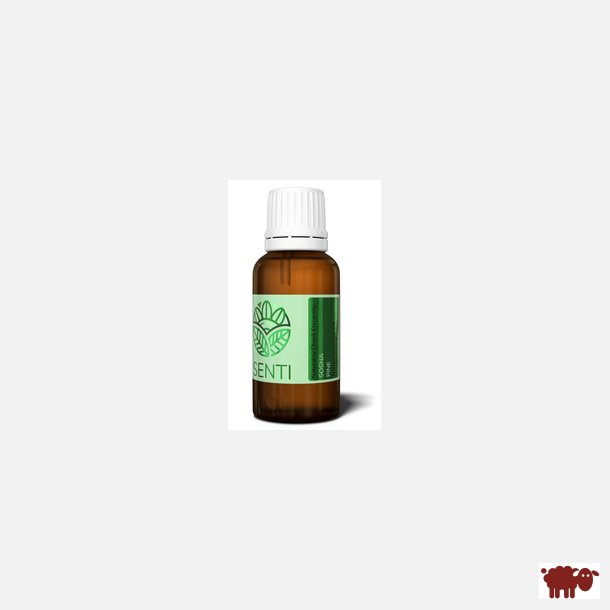 SENTI - 100 % Naturlig terisk fyrrenleolie, 30 ml