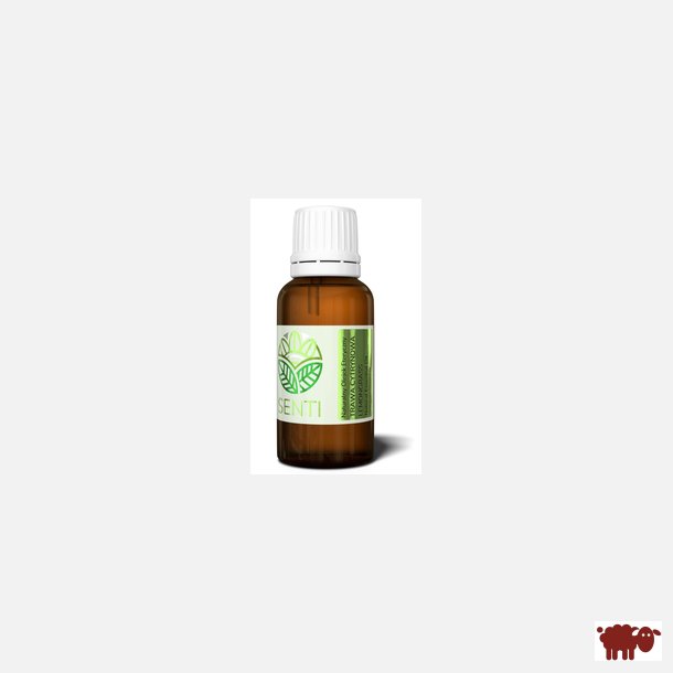 SENTI - 100% Naturlig terisk citrongrsolie, 30 ml