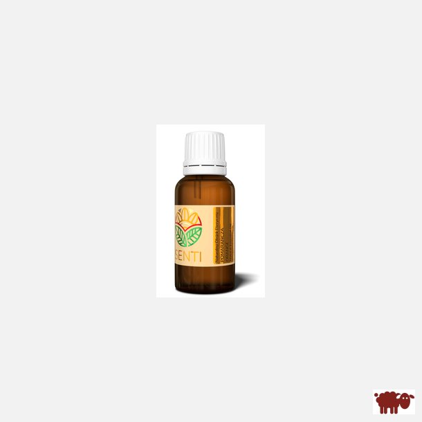 SENTI - 100 % Naturlig terisk orangeolie  (appelsin) 30 ml