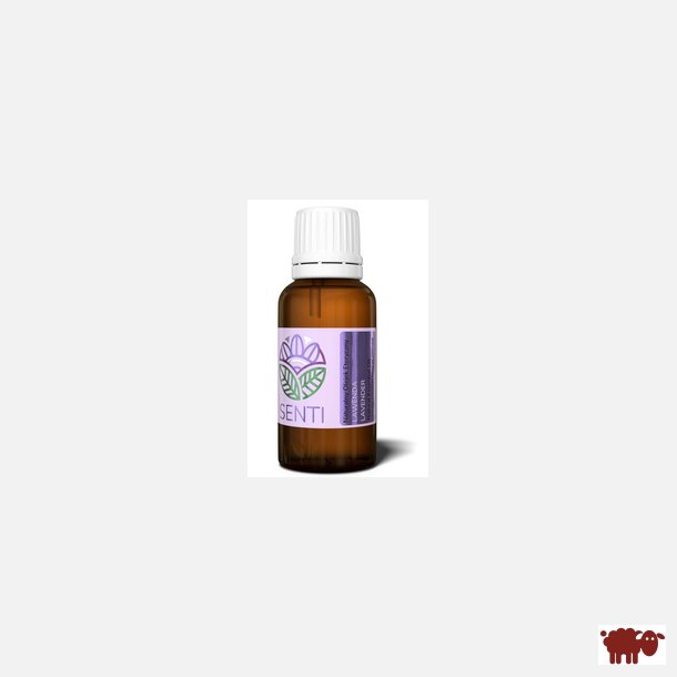SENTI - 100% Naturlig terisk lavendelolie, 30 ml