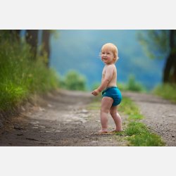 Puppi - Cover til genanvendelige stofbleer i bld merinould Royal Blue