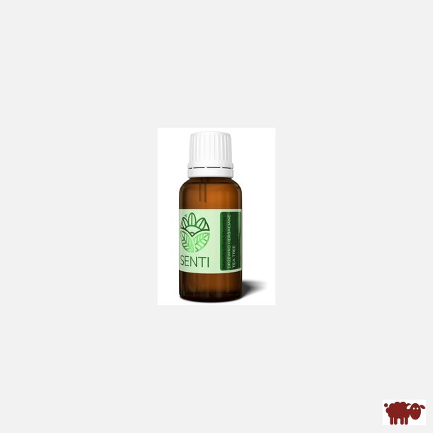 100% Naturlig terisk tetrolie (antibakteriel), mellemstor, 30 ml