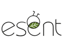Essent